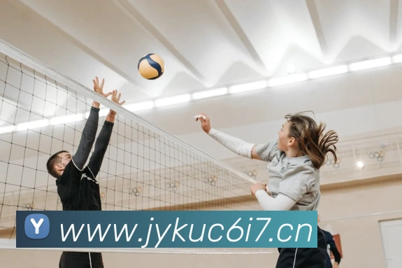 开云app网站APP 封面图